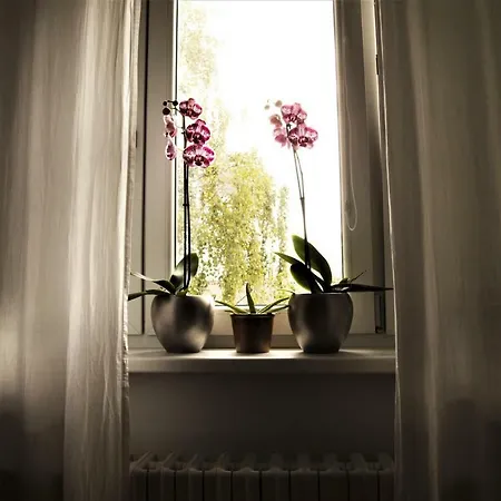 Apartmán Novobanska *